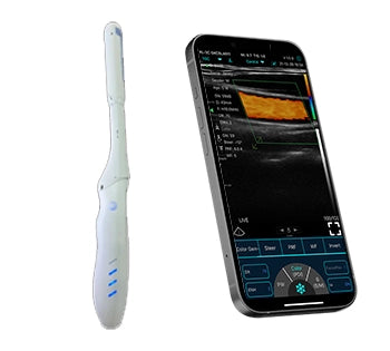 FirstMed C10LC（micro-convex+linear Prostate biopsy probe)